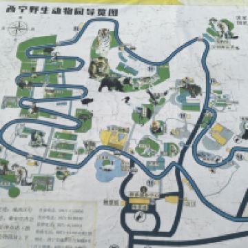評論圖片 6