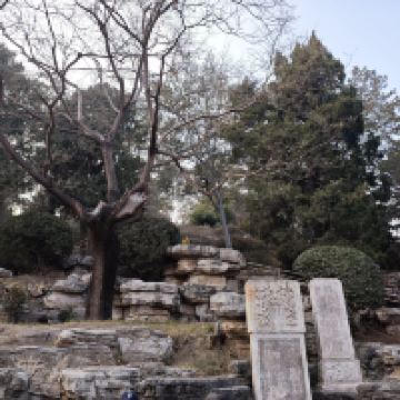 評論圖片 3