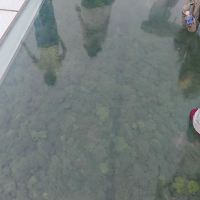 評論圖片 3