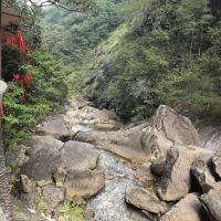 評論圖片 3