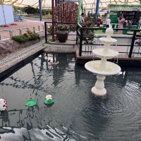 評論圖片 1