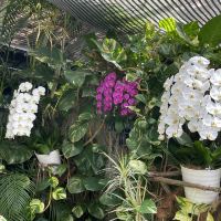 評論圖片 6