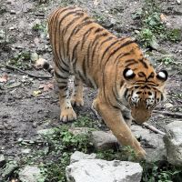 評論圖片 4