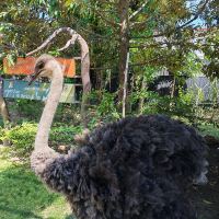 評論圖片 5