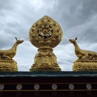 評論圖片 1