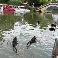 評論圖片 9