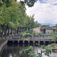 評論圖片 6