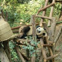 評論圖片 1