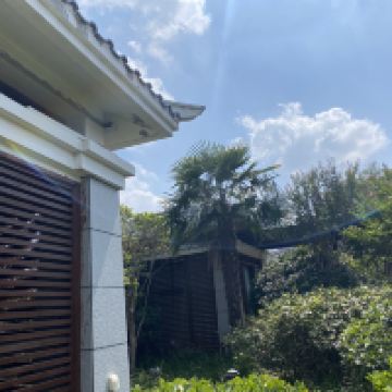 評論圖片 2