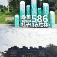 評論圖片 6