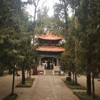 評論圖片 3