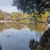 評論圖片 3