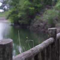 評論圖片 4