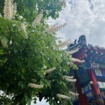 評論圖片 2