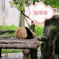 評論圖片 2