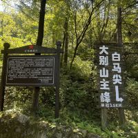 評論圖片 5
