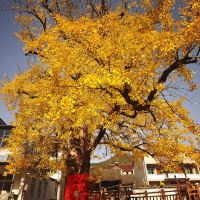 評論圖片 3