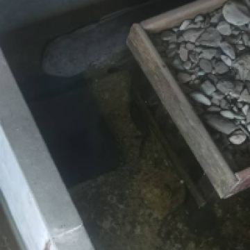 評論圖片 3