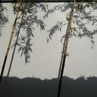 評論圖片 7