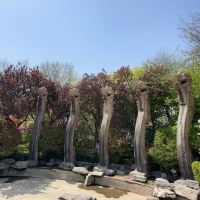 評論圖片 3