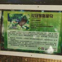 評論圖片 8