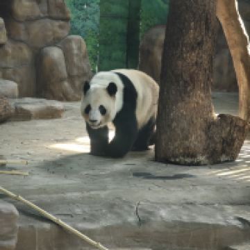 評論圖片 4