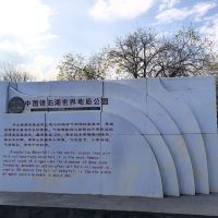 評論圖片 2