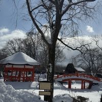 評論圖片 9