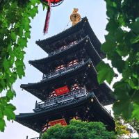 評論圖片 5
