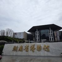 評論圖片 1