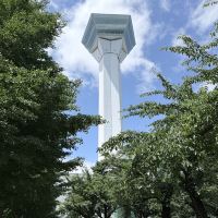 評論圖片 1