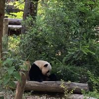 評論圖片 7