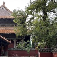 評論圖片 5