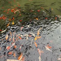 評論圖片 3