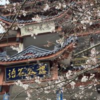 評論圖片 8