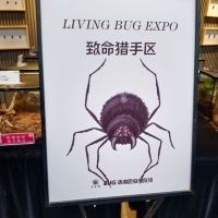 評論圖片 7