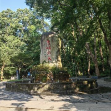 評論圖片 7