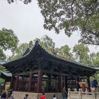 評論圖片 6