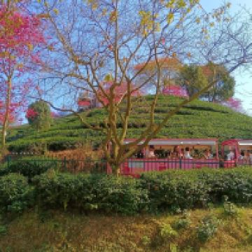 評論圖片 8