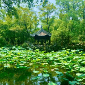 評論圖片 1