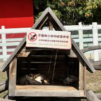 評論圖片 4