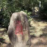 評論圖片 8