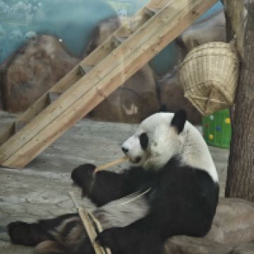 評論圖片 3