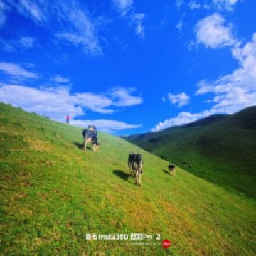 評論圖片 3
