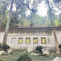 評論圖片 3