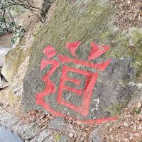 評論圖片 9