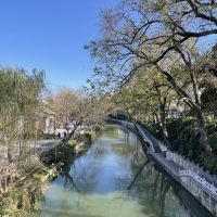 評論圖片 1