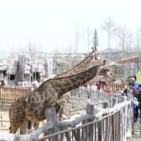 評論圖片 2
