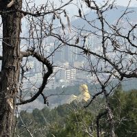 評論圖片 2