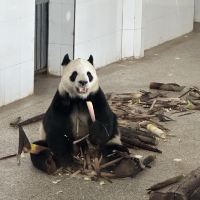 評論圖片 1